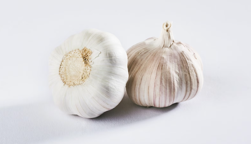 Garlic - healthy immune system