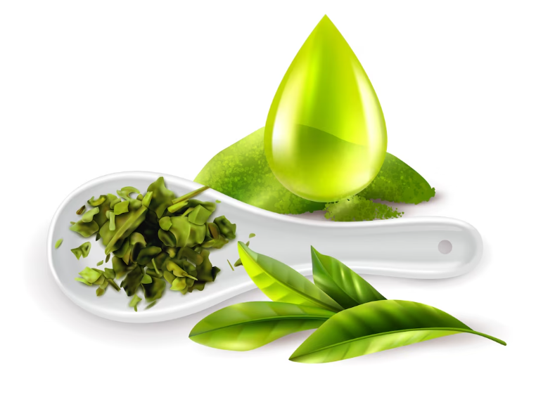 Green Tea - healthy immune system